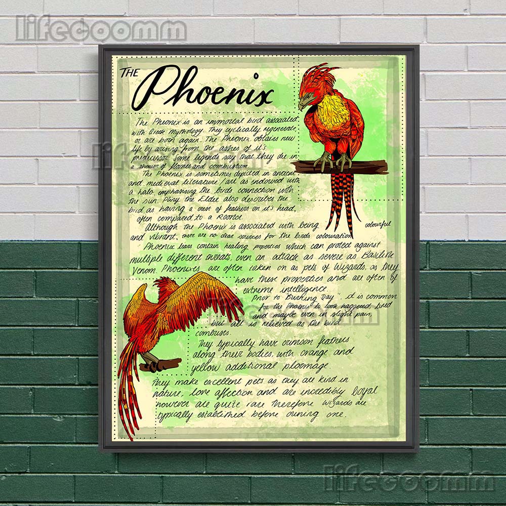 Tovenarij Herbologie En Plantk - Star Map Poster recensie en prijs
